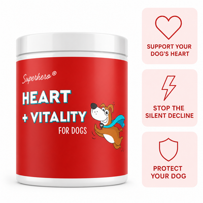 DoggySuppy Taurine Chews