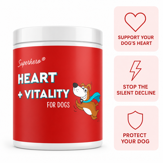 DoggySuppy Taurine Chews