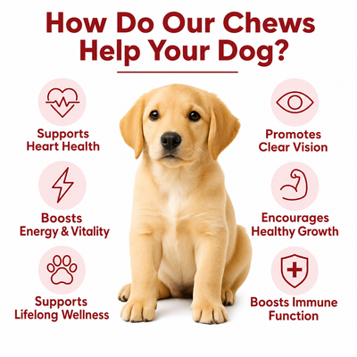 DoggySuppy Taurine Chews