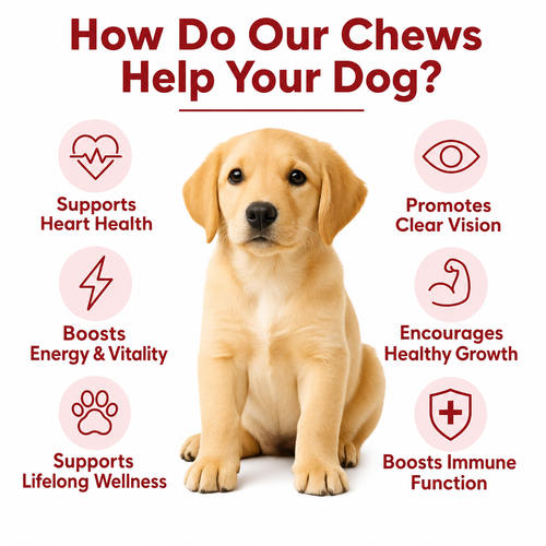 DoggySuppy Taurine Chews