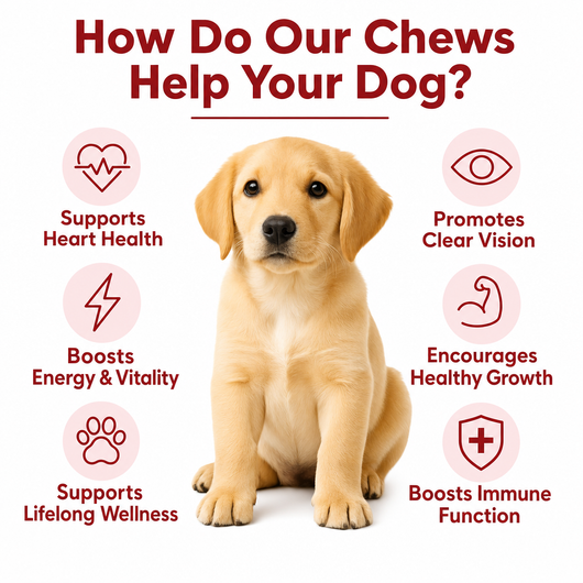 DoggySuppy Taurine Chews