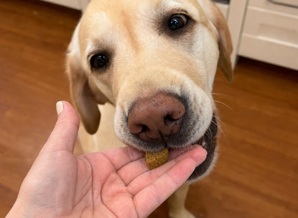 They Actually Eat It